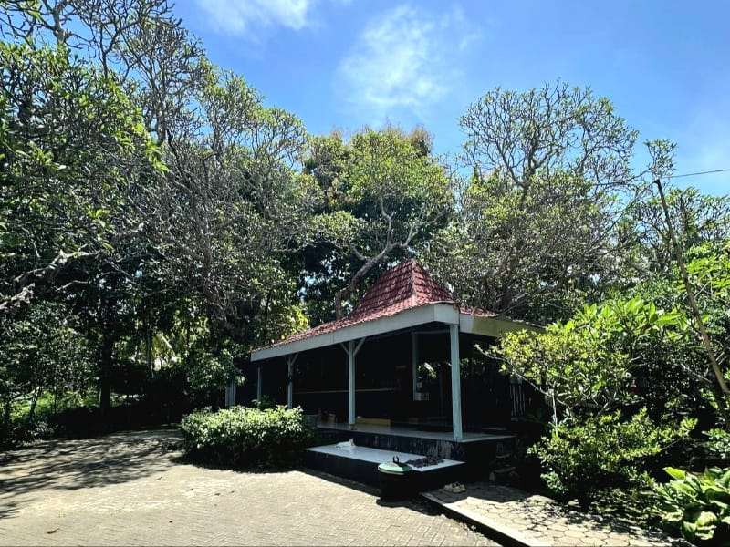 Puncak Puthuk Giri, Menelusuri Jejak Ibu Sang Wali di Bumi Blambangan